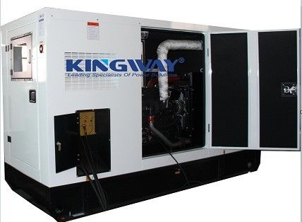 Тихий навес 375kva 300kw 400v 50hz 3-фазный 4-проводной дизельный генератор 300kw