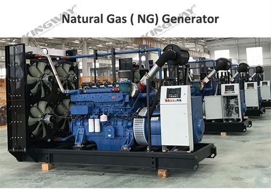 Специализированный газовый генератор 50HZ 60HZ Тихий газовый генератор