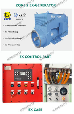 Поставка 200kva 400v 50hz 3 фазы 4 проволока экс-доказательство дизельного двигателя атекс зоны 2 генератор