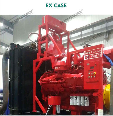 Подача 400v 50hz 3 фазы 4 провода 300kva дизельный двигатель экс-доказательство ATEX зоны 2 номинальной dnv оффшорный генератор