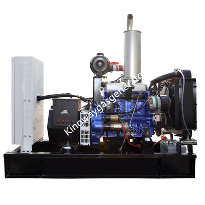 Набор Cummins Engine дизеля топлива 20KW 25KVA молчаливый двойной и лэндфилл-газа генератора